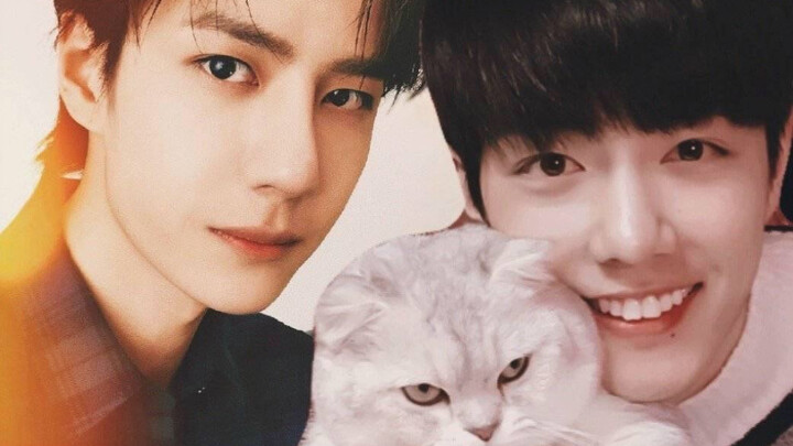 【Bo Jun Yi Xiao】Cerita manis bak gula dengan twist menyayat hati—ayo masuk dan nangis bareng, selesa