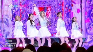 fromis_9 Feel My Rhythm  Performance