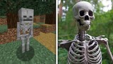 Minecraft characters in real life