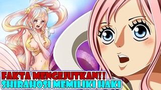 FAKTA MENGEJUTKAN!! Ternyata Shirahoshi Bisa Menggunakan Haki