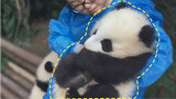 Penghangat tangan merek Panda, harus dimiliki di musim dingin.