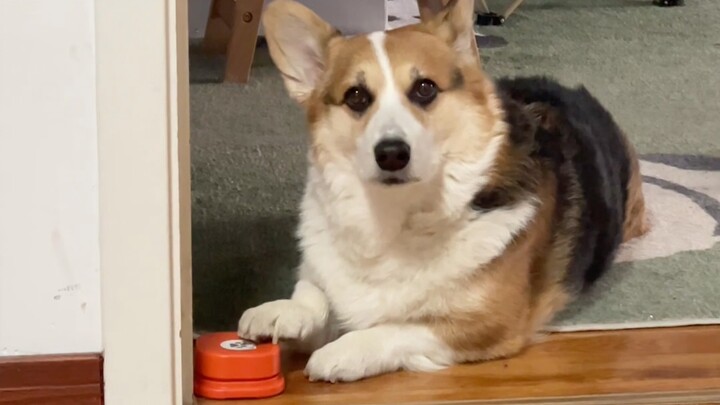 Nhận được thì trả lời nhé