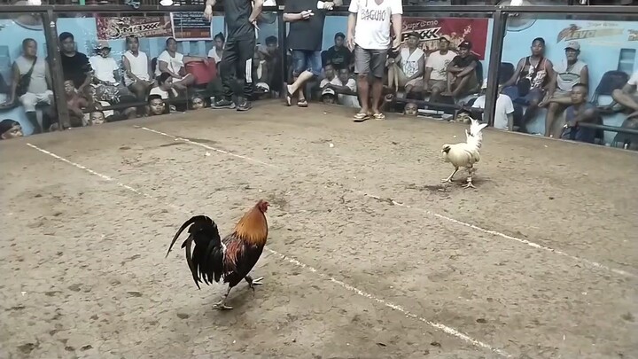 @BCA April 18,2024 (2hits w/ fas kill) 2nd Entry champion. bali naka double champion tayo guys 😇💪