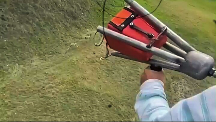 Wild Animals Get Airlifted