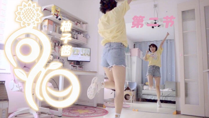 【柚子酱】不如跳舞，来一支BDF宅舞《向阳》吧！~零基础宅舞教程|第二节