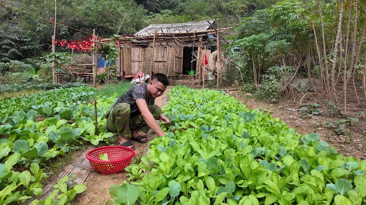 Alone in the Forest: Tending the Vegetable Garden & Cooking a Delicious Natural Meal