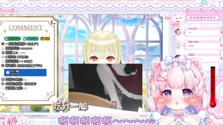 【棉花糖ame】小博美：杏子酱的腿～哇酷哇酷！