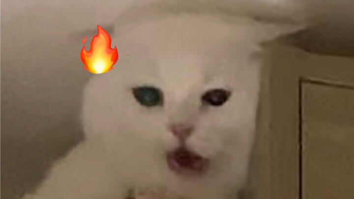 Tự mình vấp ngã rồi còn đổ lỗi cho người yêu