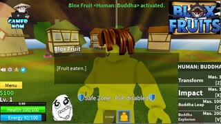 Lvl 1 Noob gets BUDDHA FRUIT, reach 2nd SEA|Unlock Powers|BLOXFRUITS