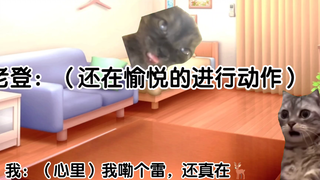 【猫meme】关于我返校前抓到我爸手艺这件事