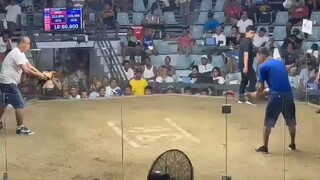 Rafael Sola Hatch Grey In Action (Pilay na Hindi pa ma patay2, Tibay! Parang Robot)💯💯