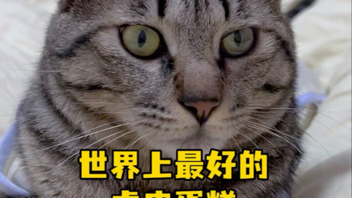 Ba chúng tôi là món bánh da hổ ngon nhất thế giới!