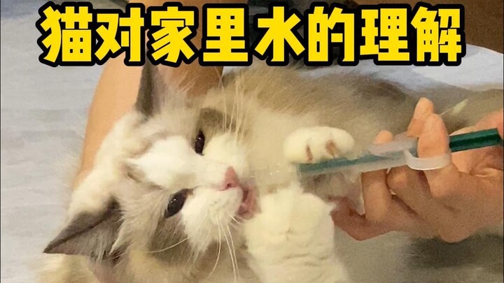 ฉันคิดเสมอว่าเธอกำลังทำร้ายเขา!!!!