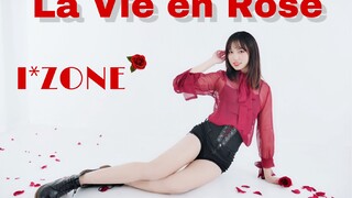 【盐盐】超帅！你没见过的辣味肉丝版本*李彩燕part