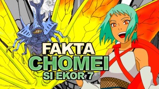 FAKTA CHOMEI BIJUU EKOR 7