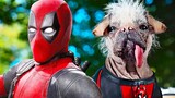 Deadpool 3's Dogpool Confirmed, Ryan Reynolds Shares First Look!
