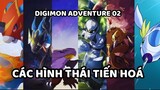 Các Hình Thái Tiến Hoá Trong Digimon Adventure Phần 2 | UO Anime