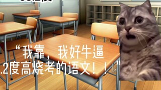 【Cat meme】About my college entrance exam failure