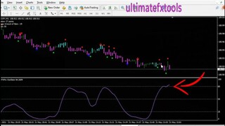 Expert Option 95 Success Trading