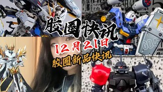【12月21日胶圈快讯】