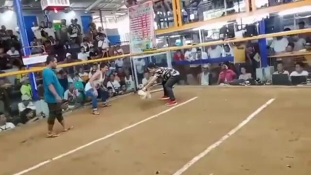 1st fight White kelso loss