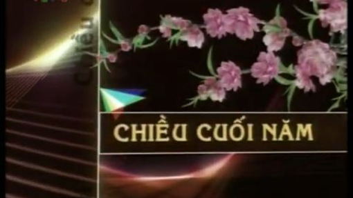 VTV1/4 - Chiều cuối năm 2012 (17h00 - 22.01.2012 - 29 Tết Tân Mão)