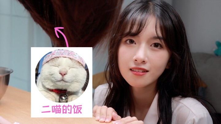 Is the food of the 400W fan food blogger delicious? with Er Meow’s rice