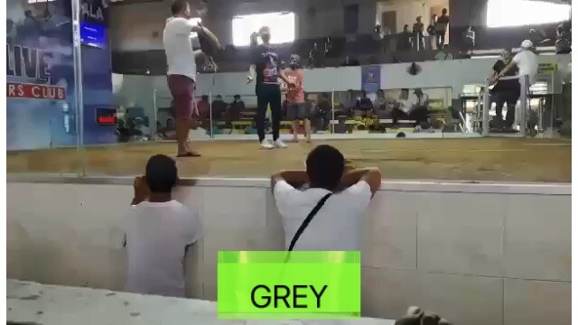 Grey (2hits-win)