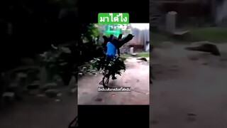 มาได้ไง