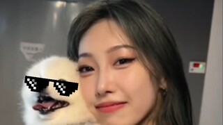 There are actually such European and American voices in the Chinese entertainment industry? ? ? Our 