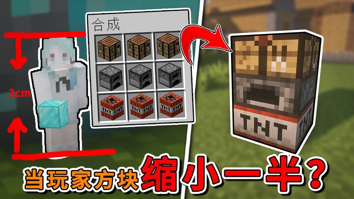 When both blocks and the player are shrunk! The matchbox turns into a mansion, and the iron golem be