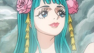 BUSET ZORO UDAH NYOBAIN BELUM YA