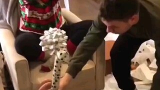 Pasang surut dalam kehidupan