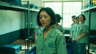 赵丽颖演刑满释放女囚！冯小刚2025新片《向阳·花》首曝预告，定档04.04