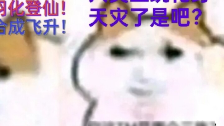 มัลติเวิร์สแมวมังกร • อินฟินิตี้แอสเซนชัน