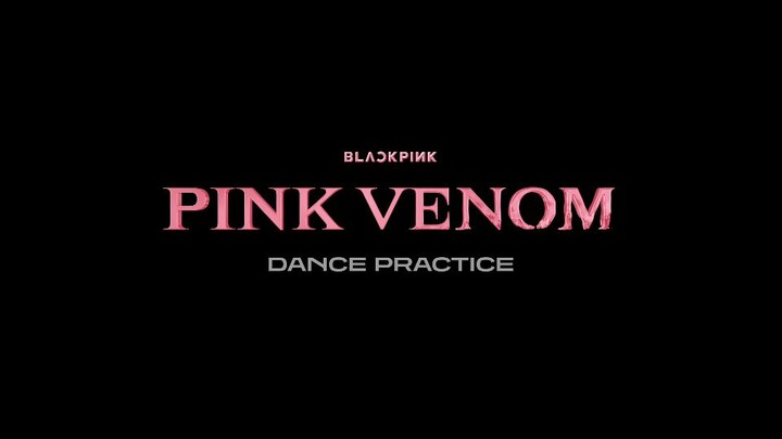 Pink Venom Dance Practice — Blackpink 䳽