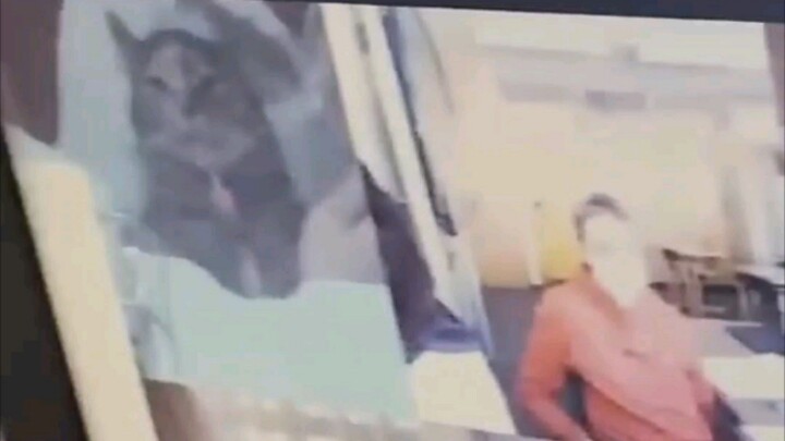 Satu-satunya orang di kelas yang serius mengikuti kelas online