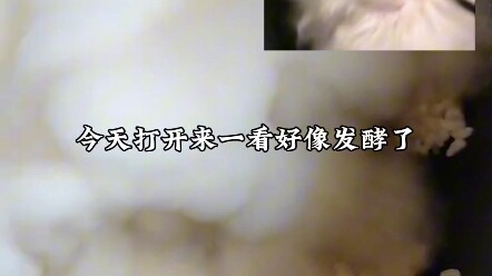 Family, who else can relate? I forgot to scoop out the rice from the day before yesterday, and when 