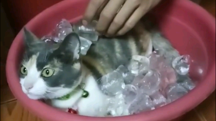 Sangat panas hingga kelelahan