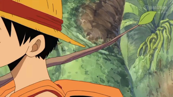 Luffy nyanyi