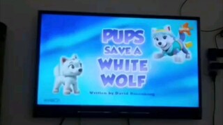 Paw patrol Musim 6 Episode 19 Bahasa indonesia Nick Jr | K-Vision