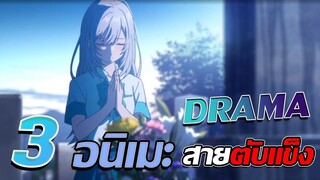 [แนะนำ] 3 อนิเมะ Drama | ปวดตับที่ไม่ควรพลาด