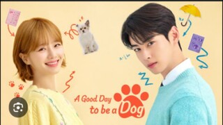A GOOD DAY TO BE A DOG TAGALOG EP02