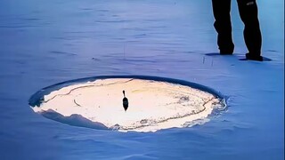 “Nếu bạn không có một số kỹ năng nghệ thuật, bạn thực sự không thể hoàn thiện nó.”