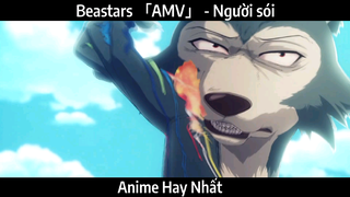 Beastars 「AMV」 - Người sói | hay Nhất