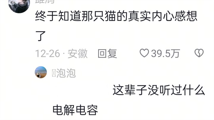 Minta maaf sama kucing kecil yang dikukus!