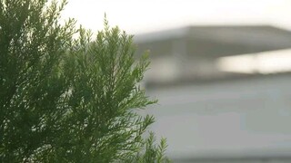 Star and Sky: Star in My Mind [Ep2] (Eng Sub)