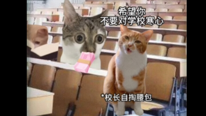 你把学生放心上，学生把你高高举起