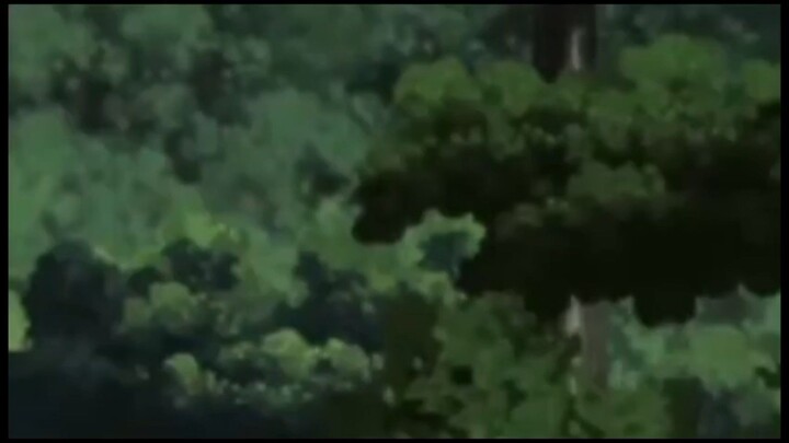hutan naruto