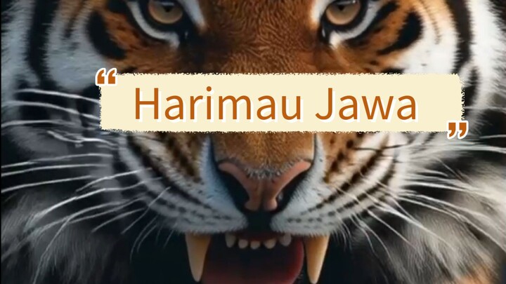 Harimau Jawa yang sudah punah,